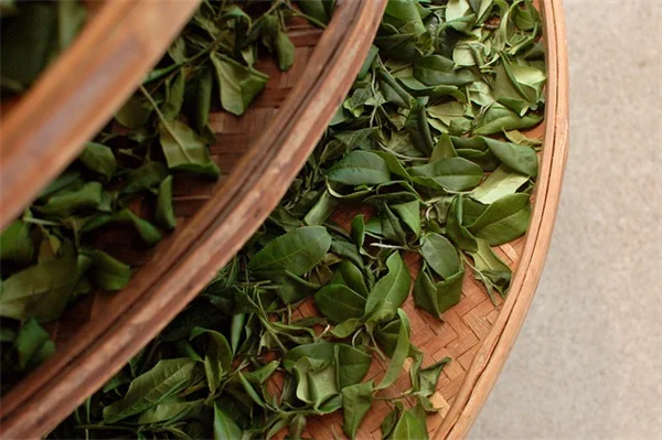 ALDIの新ガーデンコレクション、もうチェックした？