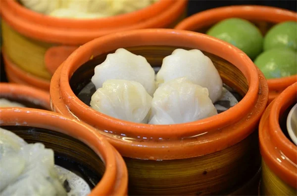 春に咲く低木6選！実際に育てたプロが厳選するおすすめ品種と育て方